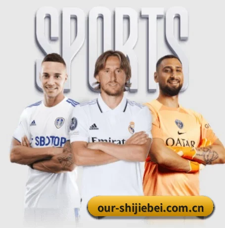 世界杯 APP 界面
